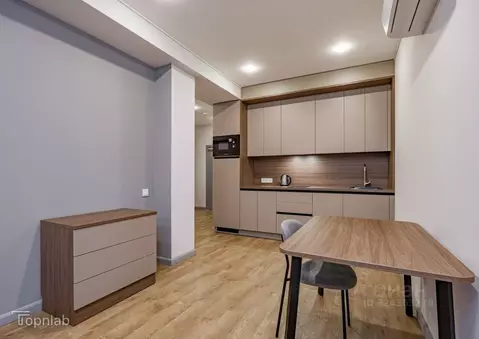 1-к кв. Санкт-Петербург Песочная наб., 42к2 (45.0 м)