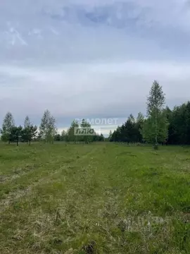 Участок в Иркутская область, Иркутский муниципальный округ, д. ...