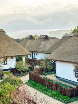 Комната Краснодарский край, Темрюкский район, Тамань ст-ца ул. ...