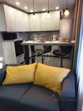 1-к кв. Амурская область, Благовещенск Технический пер., 91 (45.0 м)