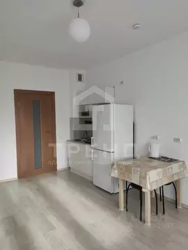 Студия Санкт-Петербург аллея Евгения Шварца, 16 (31.6 м)