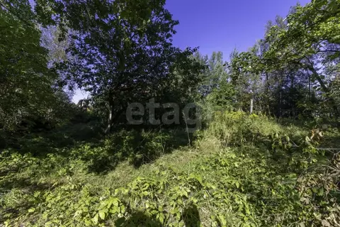 Участок в Ленинградская область, Кировский район, Синявинское ...