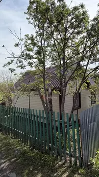 Дом в Новосибирская область, Новосибирск Золотая Горка СНТ, аллея Г, ...