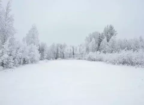 Участок в Карелия, Прионежский район, Деревянское с/пос, Педасельга ...