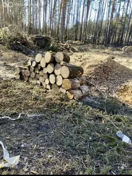 Участок в Богородский городской округ, КП Родное Пешково (9 м)