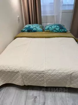 Студия Московская область, Люберцы городской округ, д. Островцы ул. ...