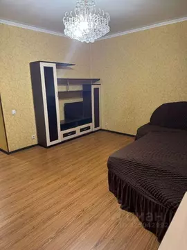 Студия Белгородская область, Белгород ул. Победы, 165 (49.2 м)