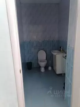 Помещение свободного назначения в Челябинская область, Златоуст ул. ...