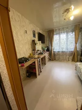 Студия Ярославская область, Ярославль Тепловой пер., 3к2 (17.6 м)