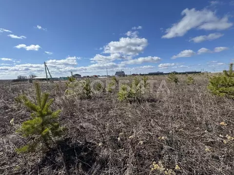 Участок в Тюменская область, Тюменский район, д. Малиновка ул. ...