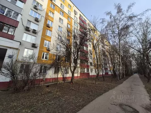 Студия Москва ул. Подольских Курсантов, 12К1 (12.0 м)