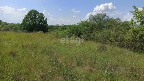 Участок в Белгородская область, Белгородский район, Беломестненское ...