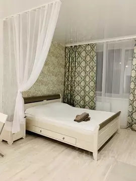 Студия Пермский край, Пермь ул. Куйбышева, 109А (27.0 м)