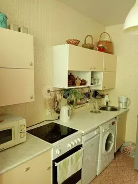 1-к кв. Воронежская область, Воронеж Троицкий кв-л, Олимпийский ...