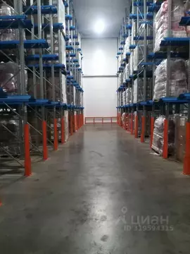 Склад в Новосибирская область, Новосибирск ул. Декабристов, 247к4 (300 ...