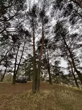 Участок в Московская область, Истра муниципальный округ, д. Лешково 19 ...