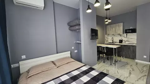 Студия Краснодарский край, Сочи ул. Ленина, 290/6 (24.9 м)