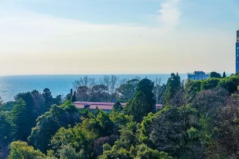 2-к кв. Краснодарский край, Сочи ул. Яна Фабрициуса, 7 (55.0 м)