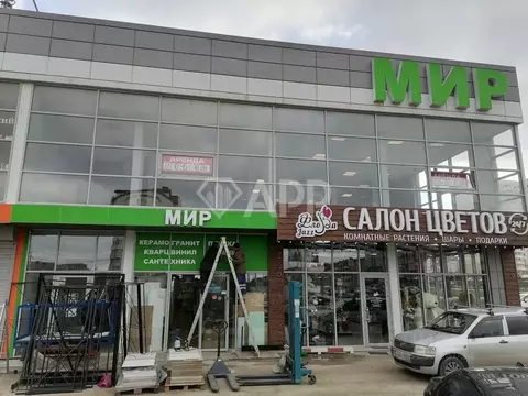 Помещение свободного назначения в Краснодарский край, Анапа ул. ...