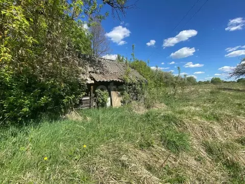 Участок в Брянская область, Почепский район, Витовское с/пос, с. ...