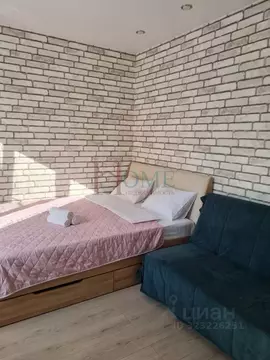 1-к кв. Новосибирская область, Новосибирск ул. Ясный Берег, 25 (30.0 ...