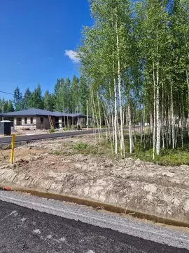 Участок в Санкт-Петербург, Санкт-Петербург, Павловск Павлов Скай кп,  ...