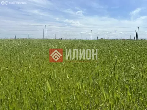 Участок в Николаевское сельское поселение (6 м)