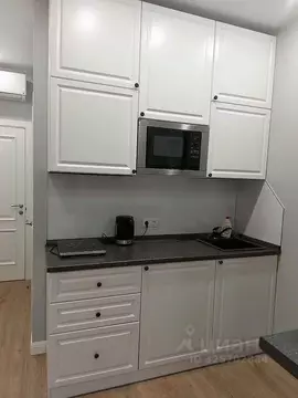 Студия Москва Ленинградский просп., 29к3 (25.0 м)