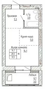 1-к кв. Алтайский край, Новоалтайск ул. Титова, 6 (31.3 м)