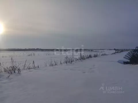 Участок в Курганская область, Курган Озеро Бездонное СНТ, ул. Луговая ...