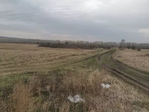 Участок в Красноярский край, Красноярск Северное ш., 50 (1.9213 сот.)