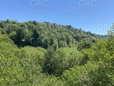 Участок в Краснодарский край, Сочи городской округ, с. ...