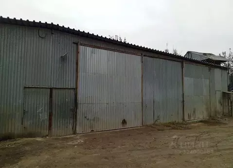 Производственное помещение в Московская область, Люберцы городской ...