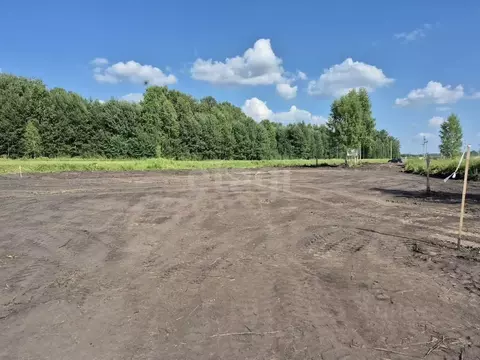 Участок в Новосибирская область, Мошковский район, с. Сокур  (10.0 ...