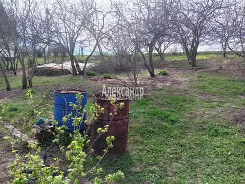 Участок в Ленинградская область, Волховский район, Колчановское с/пос, ...