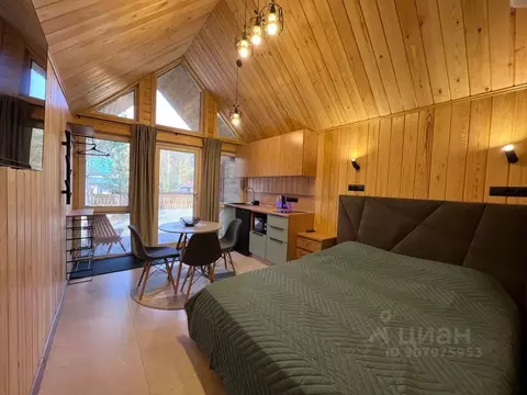 Дом в Алтай, Майминский район, Соузгинское с/пос, пос. Турбаза Юность ...