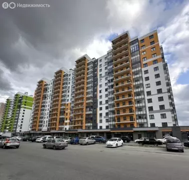 Квартира-студия: Шушары, Старорусский проспект, 8к1 (24.4 м)