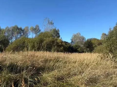 Участок в Московская область, Воскресенск городской округ, Имени ...