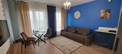 Студия Ленинградская область, Всеволожский район, д. Новое Девяткино ...