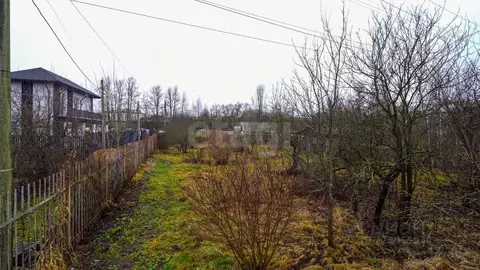 Участок в Санкт-Петербург, Санкт-Петербург, Пушкин Коллективный Сад № ...