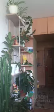 2-к кв. Ямало-Ненецкий АО, Ноябрьск ул. 8 Марта, 2 (51.0 м)