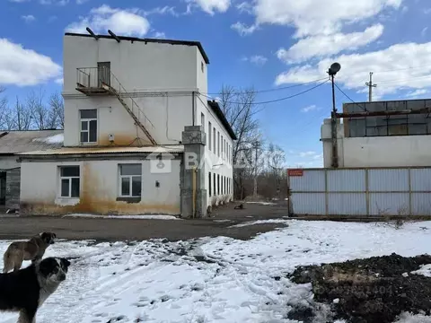 Производственное помещение в Забайкальский край, Чита пос. Кадала, ...