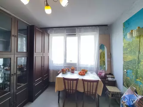Комната Санкт-Петербург Дунайский просп., 43К1 (33.0 м)