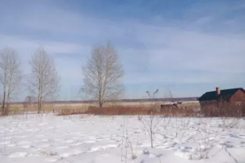 Участок в Свердловская область, Каменский муниципальный округ, д. ...