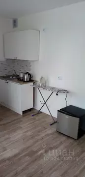 Студия Санкт-Петербург дор. Муринская, 8к2 (20.0 м)