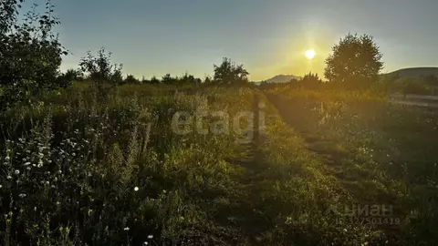 Участок в Алтайский край, Алтайский район, Айский сельсовет, с. Ая  ...