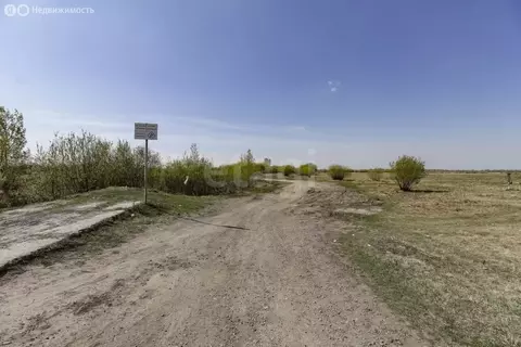 Участок в Тюмень, территория СОСН Агросад-Тюмень (10.8 м)