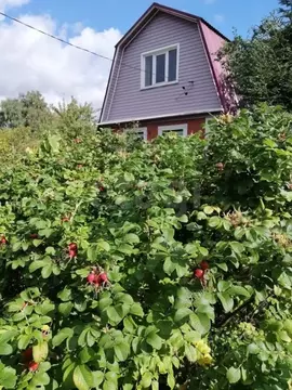 Дом в Московская область, Рузский муниципальный округ, пос. Дорохово ...