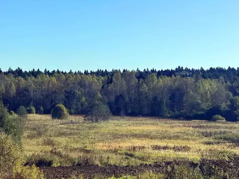 Участок в Московская область, Дмитровский муниципальный округ, Ерыково ...