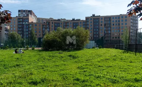 Студия Ленинградская область, Всеволожский район, д. Новое Девяткино ...